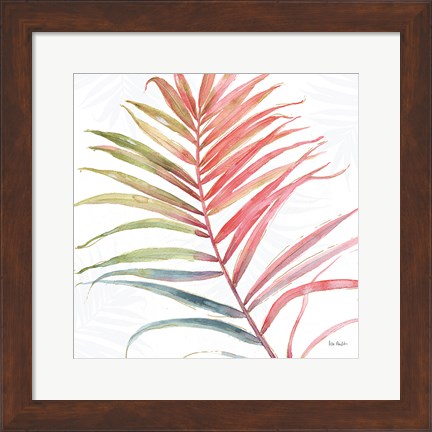 Framed Tropical Blush VI Print