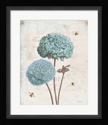 Framed Geranium Study II Print