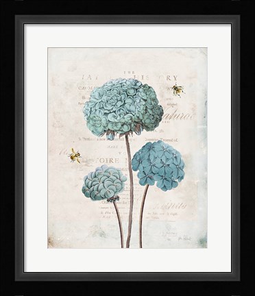 Framed Geranium Study I Print