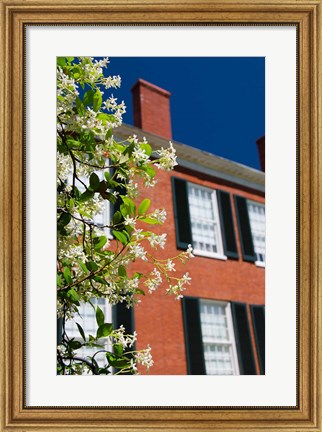 Framed Spring Pilgrimage, &#39;Rosalie&#39; house, 1820, Natchez, Mississippi Print