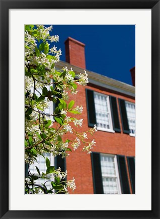 Framed Spring Pilgrimage, &#39;Rosalie&#39; house, 1820, Natchez, Mississippi Print