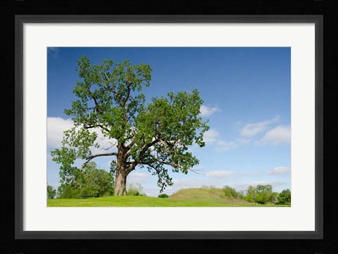 Framed Mississippi, Greenville Winterville Mounds Print