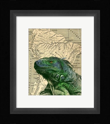 Framed Brazilian Iguana Print