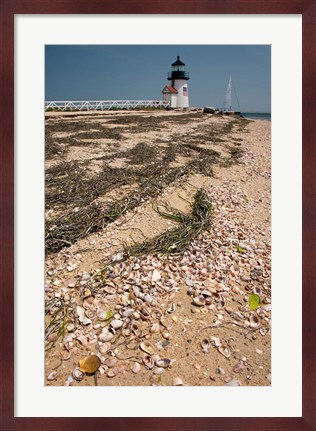 Framed Nantucket Shell in front of Brant Point lighthouse Print