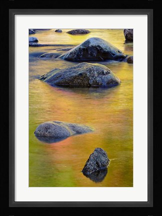 Framed Swift River, White Mountain Forest, New Hampshire Print