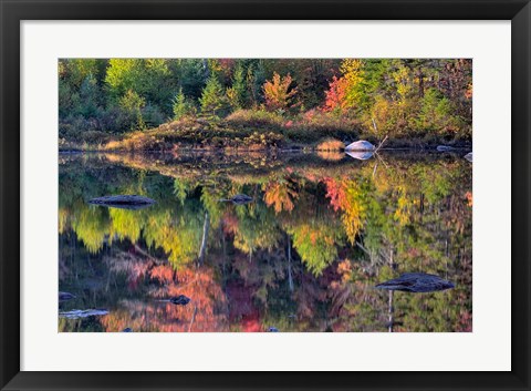 Framed Shoreline reflection, Lily Pond, White Mountain National Forest, New Hampshire Print