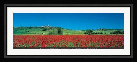 Framed Field of Poppies, Tuscany Print