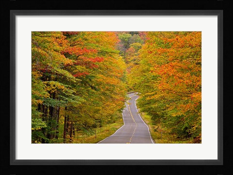 Framed White Mountain National Forest, New Hampshire Print