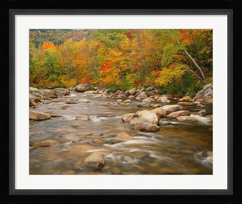 Framed River flowing through Forest in Autumn, White Mountains National Forest, New Hampshire Print