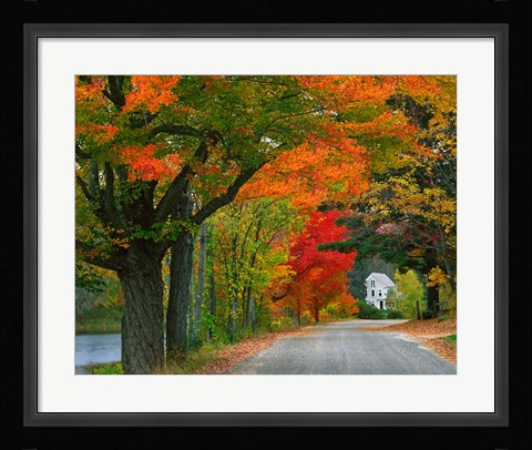 Framed New Hampshire, Andover Autumn color, England home Print