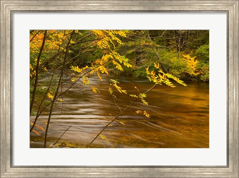 Framed New Hampshire, White Mountain National Forest River Print