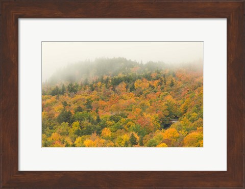 Framed New Hampshire, White Mountain National Forest, Autumn Print