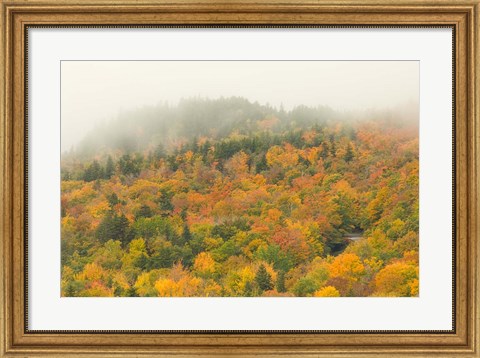 Framed New Hampshire, White Mountain National Forest, Autumn Print