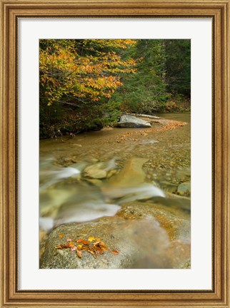 Framed New Hampshire; Lincoln; Franconia Notch Print