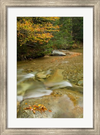 Framed New Hampshire; Lincoln; Franconia Notch Print