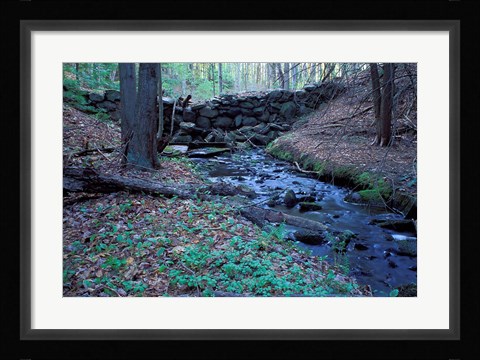 Framed Banks of Lamprey River, National Wild and Scenic River, New Hampshire Print