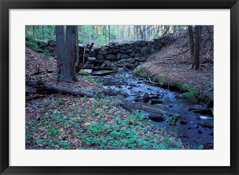 Framed Banks of Lamprey River, National Wild and Scenic River, New Hampshire Print