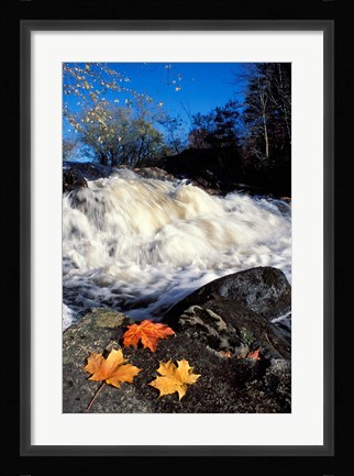 Framed Maple Leaves and Wadleigh Falls on the Lamprey River, New Hampshire Print