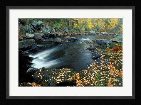Framed Autumn Leaves at Packers Falls on the Lamprey River, New Hampshire Print