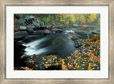 Framed Autumn Leaves at Packers Falls on the Lamprey River, New Hampshire Print