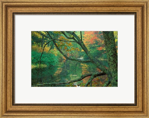 Framed Fall on the Lamprey River below Wiswall Dam, New Hampshire Print