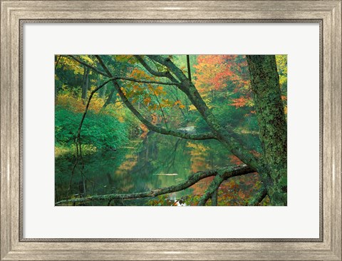 Framed Fall on the Lamprey River below Wiswall Dam, New Hampshire Print