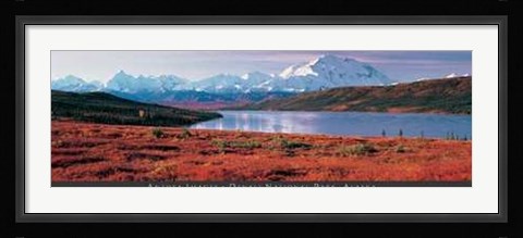 Framed Denali National Park, Alaska Print