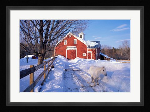 Framed Pony and Barn near the Lamprey River in Winter, New Hampshire Print