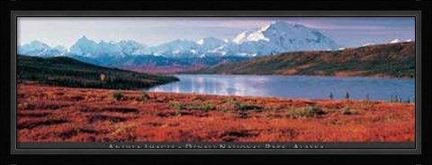 Framed Anonymous - Denali National Park, Alaska Size 54.5x19 Print