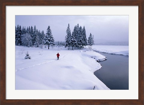 Framed Snowshoeing on the Shores of Second Connecticut Lake, Northern Forest, New Hampshire Print