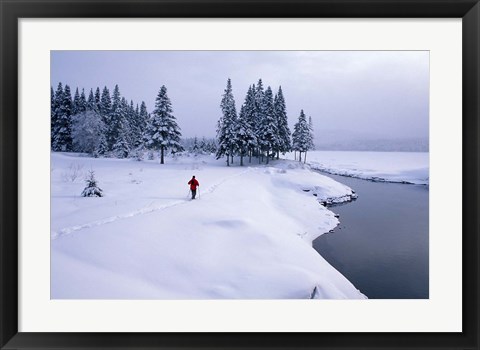 Framed Snowshoeing on the Shores of Second Connecticut Lake, Northern Forest, New Hampshire Print