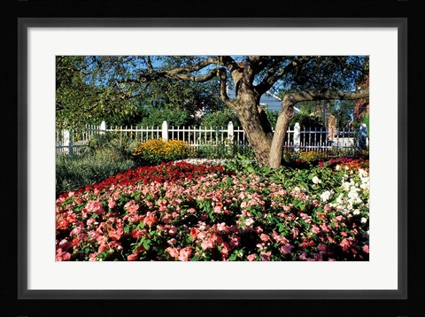 Framed Prescott Park, New Hampshire Print