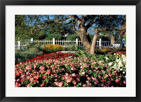 Framed Prescott Park, New Hampshire Print