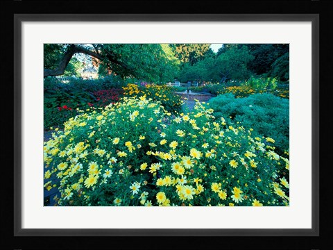 Framed Prescott Park Garden, New Hampshire Print