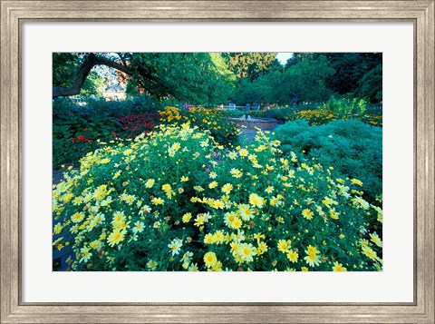 Framed Prescott Park Garden, New Hampshire Print