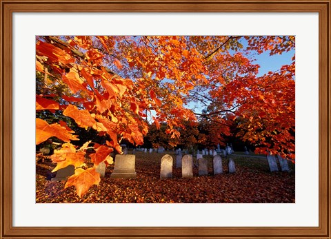 Framed Fall Morning in a Portsmouth Cemetary, New Hampshire Print