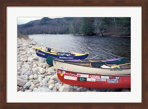 Framed Paddling the Pemigewasset River, White Mountains, New Hampshire Print