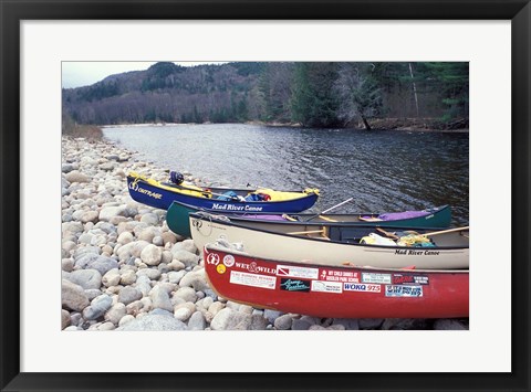 Framed Paddling the Pemigewasset River, White Mountains, New Hampshire Print