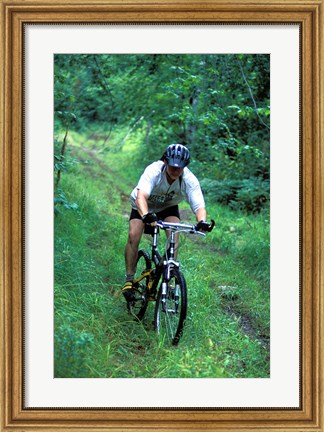Framed Mountain Biking on Providence Pond Loop Trail, White Mountain National Forest, New Hampshire Print