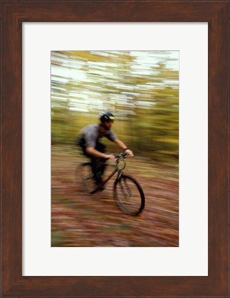 Framed Mountain Biking, Old Logging Road, New Hampshire Print