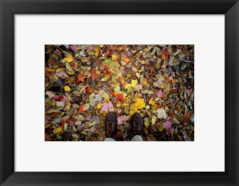 Framed Fall Foliage on Forest Floor in White Mountains, New Hampshire Print