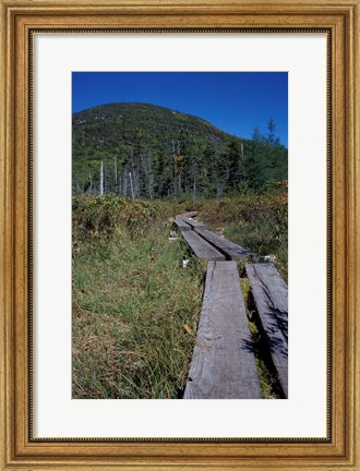 Framed Tamarack Bog Bridge on the Lonesome Lake Trail, New Hampshire Print