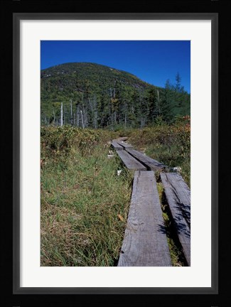 Framed Tamarack Bog Bridge on the Lonesome Lake Trail, New Hampshire Print