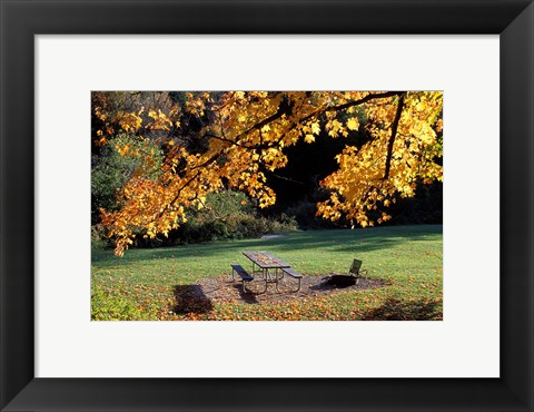 Framed Fall Foliage on Cohos Trail, Zealand Campground, Twin Mountain, New Hampshire Print