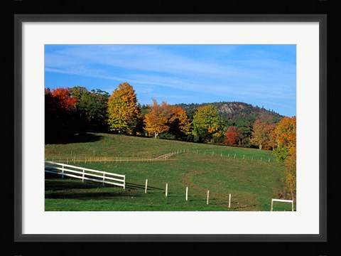 Framed Horse Farm in New England, New Hampshire Print