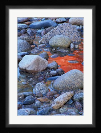 Framed Fall Colors Reflect in Saco River, New Hampshire Print