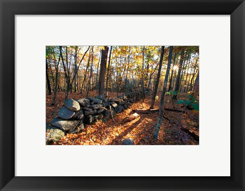 Framed Stone Wall, Nature Conservancy Land Along Crommett Creek, New Hampshire Print