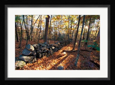 Framed Stone Wall, Nature Conservancy Land Along Crommett Creek, New Hampshire Print