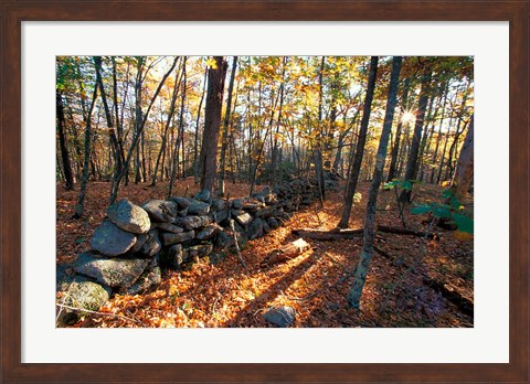 Framed Stone Wall, Nature Conservancy Land Along Crommett Creek, New Hampshire Print