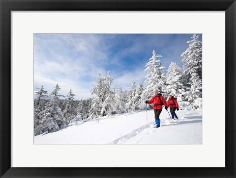Framed Winter Hiking on Mount Cardigan, Clark Trail, Canaan, New Hampshire Print